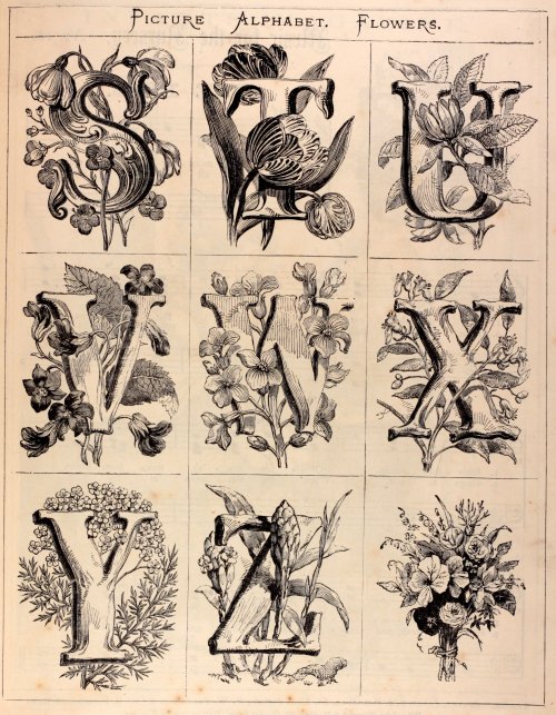 1872 Picture Alphabet Flowers - Each letter is surrounded by flowers which begin with that lett