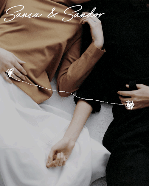 lilttlebird: sansan » ❝i could keep you safe. they’re all afraid of me. no one would hur