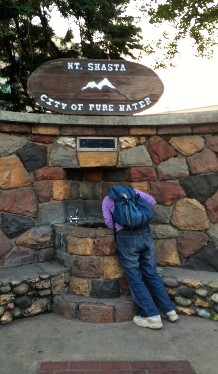 Public Drinking Fountain, Mount Shasta, California, Summer 2014.A bit of bitter irony, for the photo