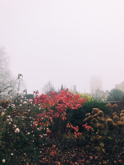 misty mornings at magdalen college, oxford