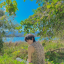lostpluviophile