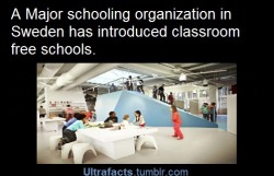 meulindaleijon:  ultrafacts:  They believe that by breaking down physical class divisions, children can be taught to live with intellectual curiosity, self-confidence and communally responsible behavior. Source More Facts HERE  How come Sweden gets to