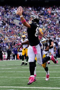 Fuckyeahravens