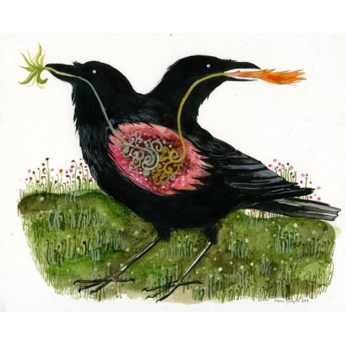 Diana Sudyka aka Tiny Aviary (Polish, based Chicago, IL, USA) - 1: Raven Creates the World, 2011, Wa