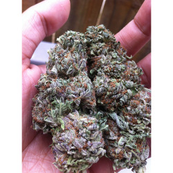 materia-cerebrale:  Lavender Herbs :) 