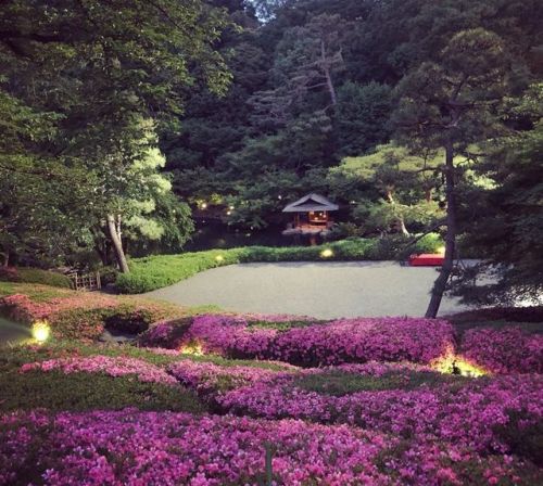 ⛳️1330. 八芳園庭園 Happoen Garden, Minato-ku, Tokyo 徳川家康の家臣・大久保彦左衛門がかつて屋敷を構えた場所に「東京のオアシス」をテーマに開かれた #池泉回遊式