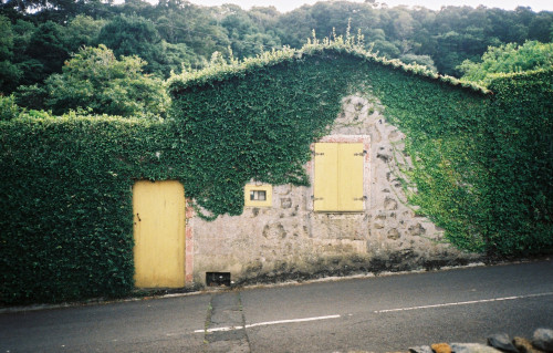 Graciosa, AzoresSeptember, 2018