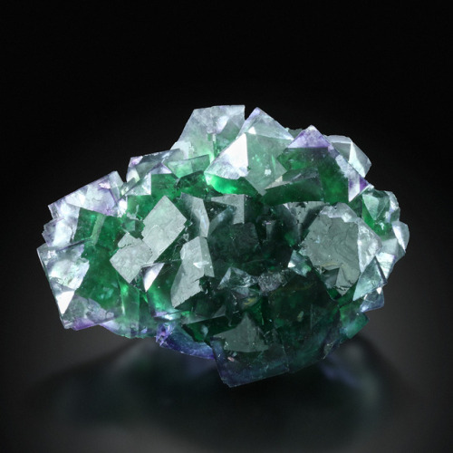 hematitehearts:  FluoriteLocality: Okoruso Mine, Otjiwarongo District, NamibiaSize: 9.5 × 6 × 4 cm