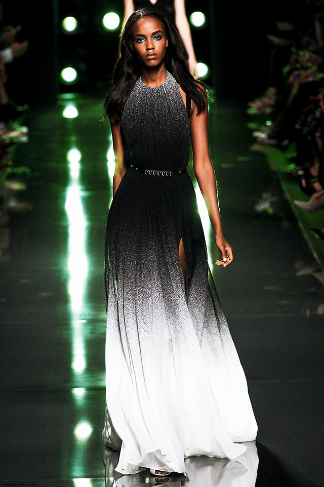 satorugojjo: Night, Sunset, Sunrise, Day - Elie Saab Spring/Summer Collection 2015