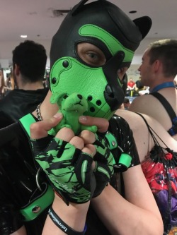 pup-nuzzy:  The newest addition to the plushie family. A green pupper who came flying out of the pup mosh pinata at IML. I shall call him Floofy ^_^