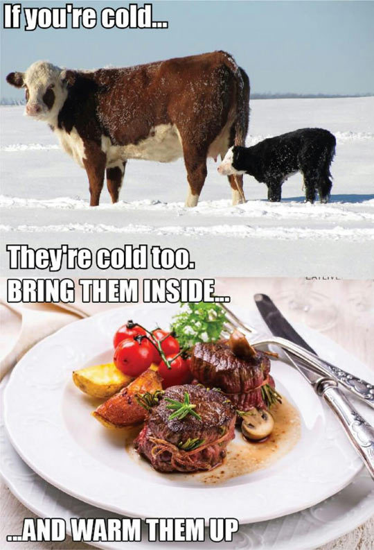 srsfunny:  Let’s Be Nice To Animalshttp://srsfunny.tumblr.com/