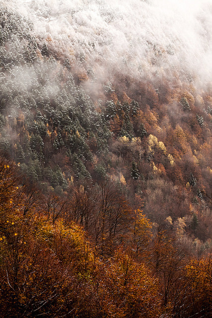 tulipnight:  Stages_voyages_photo_naturavista_-32 by mosaicwild on Flickr. 