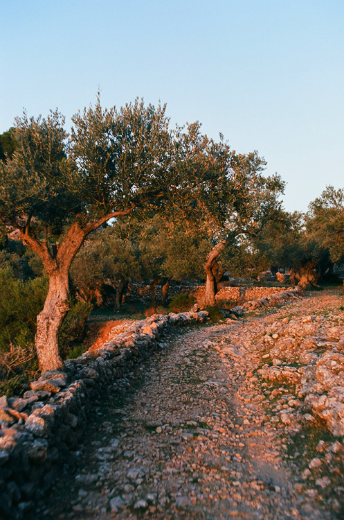 quentindebriey:mallorca,nov 2014