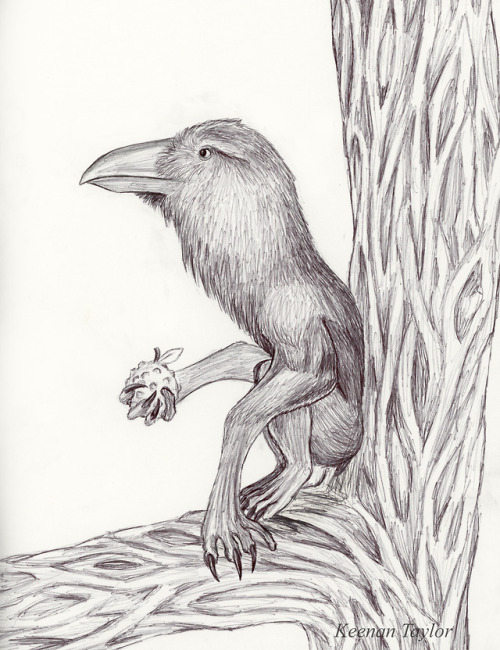 illustrated-menagerie:Several years ago I started playing around with the speculative evolution conc