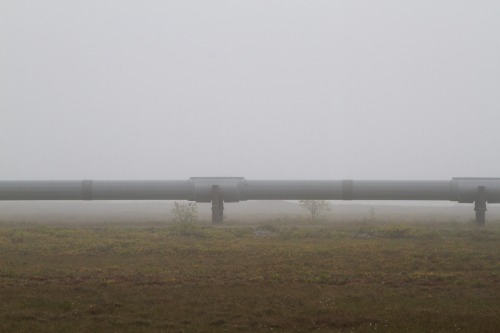 highways-are-liminal-spaces: The final 20 miles of the Dalton driven in the fog, North Slope, Alaska