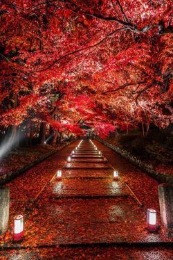 lori-rocks:  Kyoto, Japan, via pinterest