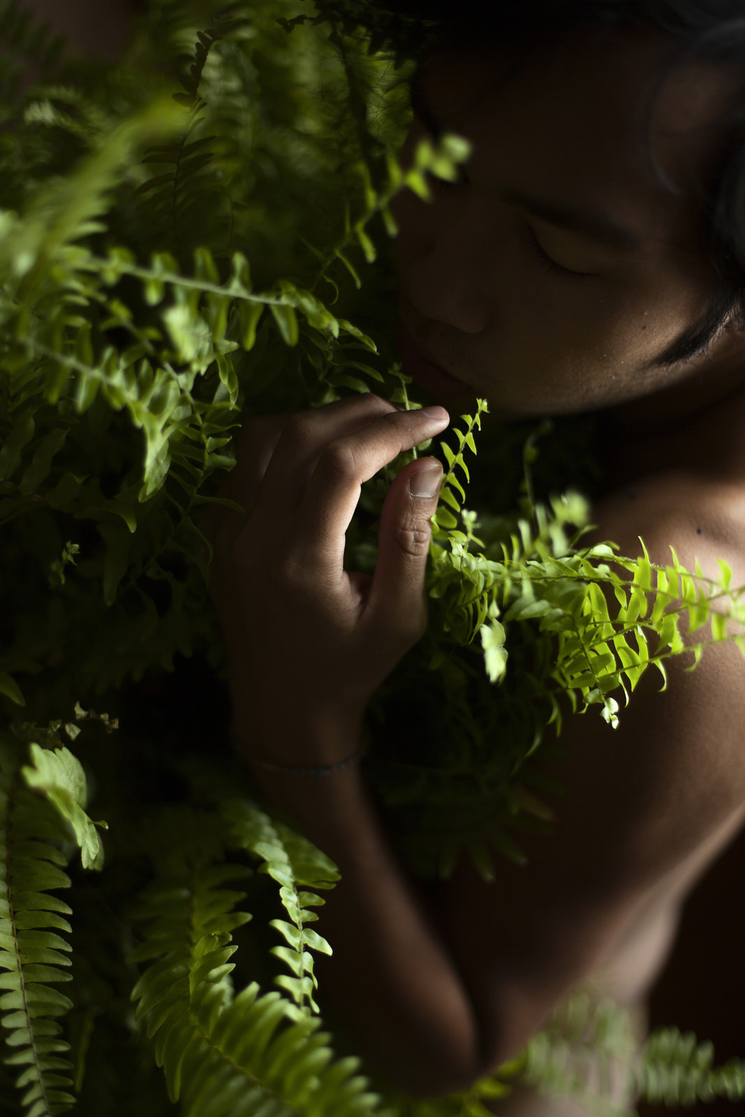 sean-clancy:  Houseplants, by Benedict ScheuerStarting a small series about my home,