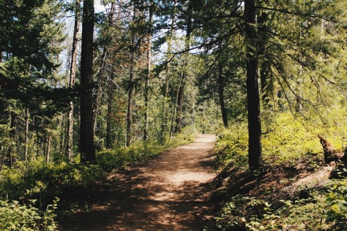  Meyer Ranch Park 