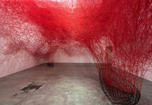 CHIHARU SHIOTA