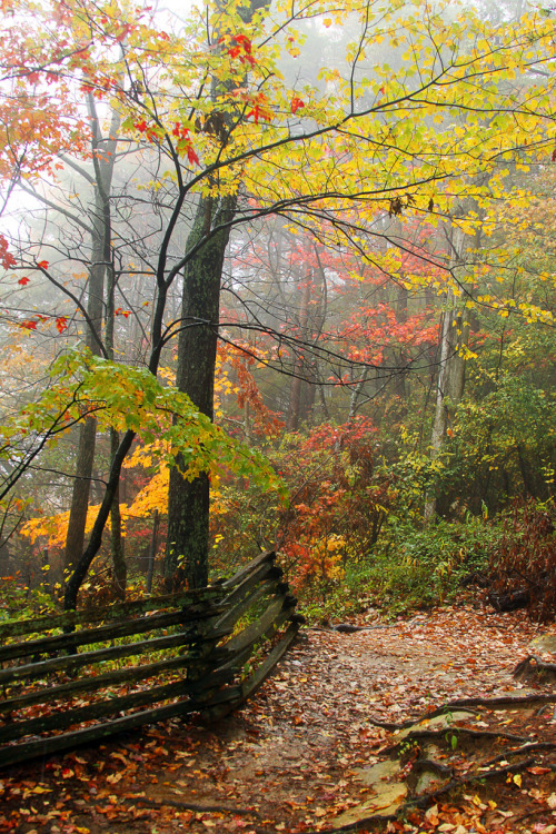 7000stars:Cumberland Trail (by Virginia Bailey Photography)