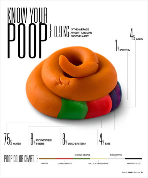 iheartstarsandbows:  pseudoselfaware:  Infographic: Everything You Were Afraid To Ask About Poop  This is actually important and good to know.  Sooo…knowing your shit is important? Now I have an actual reason to look at my shit in the toilet.