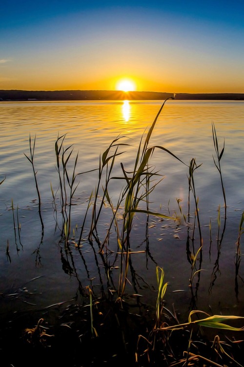 sundxwn:  Just a quiet evening…by Aleksei Malygin