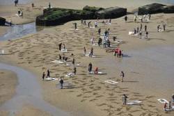 totalharmonycycle:  thereisnocondemnation:   A large percentage of our country doesn’t know of, or care about Normandy. A few weekends ago, British artist Jamie, accompanied by numerous volunteers, took to the beaches of Normandy with rakes and stencils