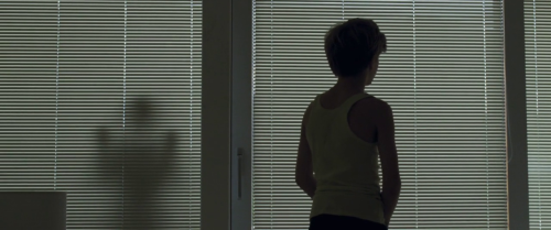 Goodnight Mummy (Ich seh ich seh) / 2014 / dir. Severin Fiala &amp; Veronika Franz
