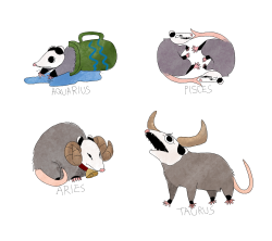 persephoning: cinnabees:  Astrological zodiac opossums!  Available as stickers on Redbubble!   @cjbatbrain 