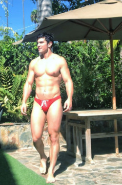 fustevepena:  Steve Grand 