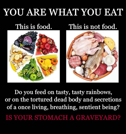 prettyboyshyflizzy: jackkormonster: watchxmexrise: Is your stomach a graveyard? My god