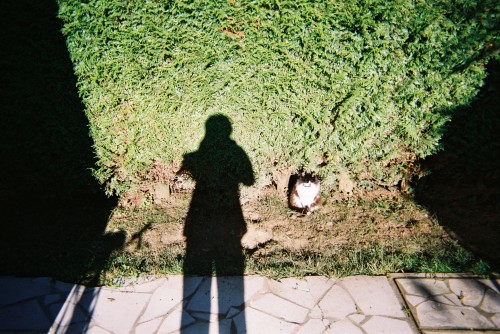 Check out more photos from disposable cameras!ThroughWHOSE Project
