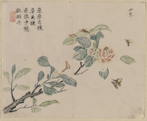 Flowering Branch with Bees, 18, Cleveland Museum of Art: Chinese ArtSize: Overall: 26.8 x 31.2 cm (1