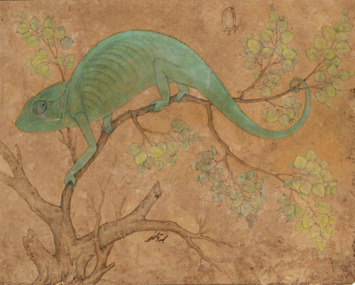 Chameleon by Mansur Mughal, c.1612 