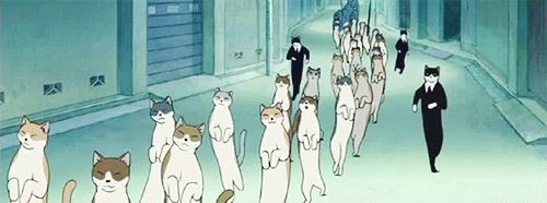the-absolute-best-posts:  The Cat King’s CatGuard 