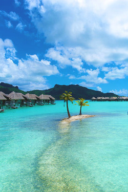 Italian-Luxury:  Bora Bora | Tropical  Escape&Amp;Hellip;