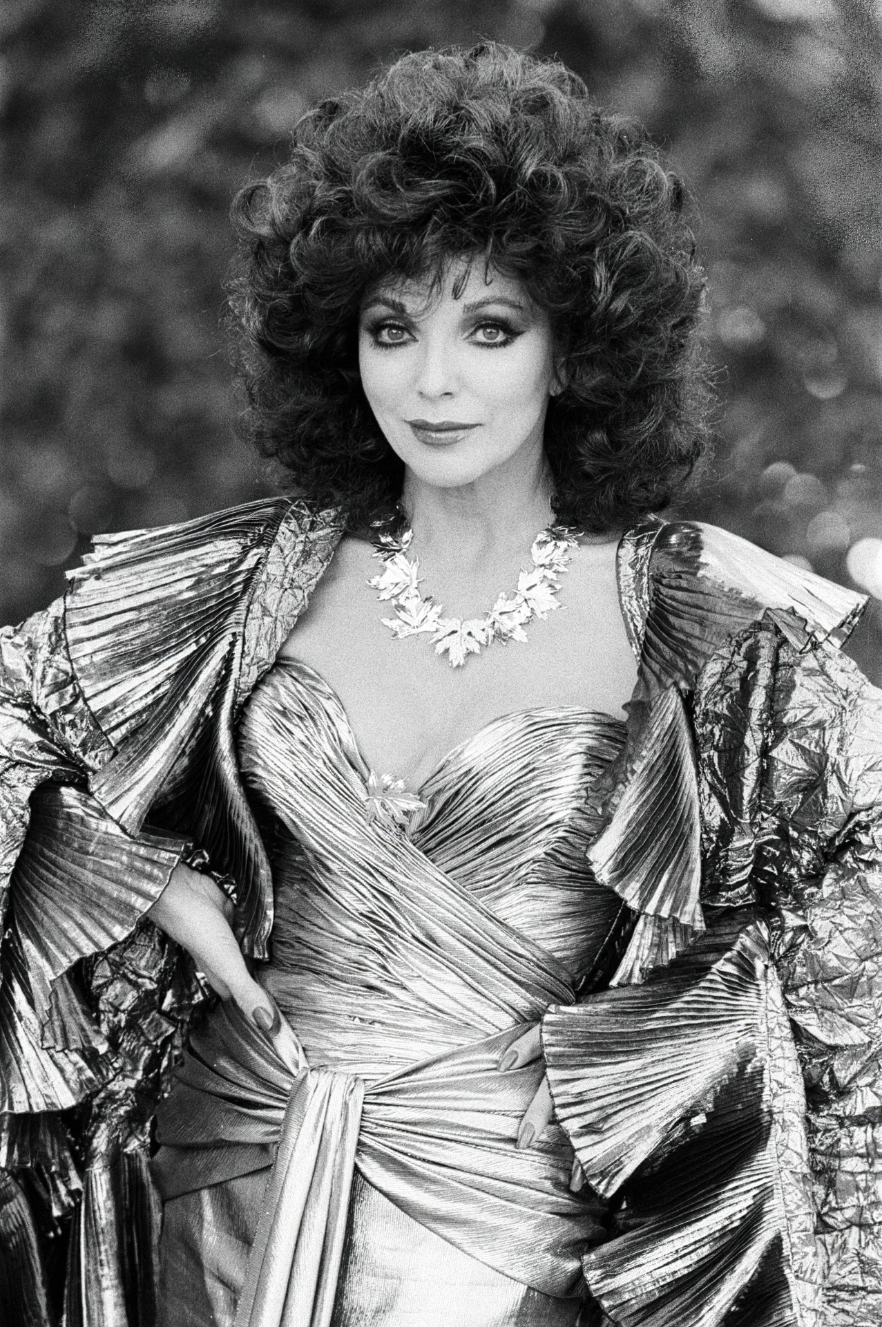 joan-collins-collection-photo