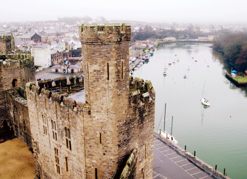 henriplantagenet:Caernarfon Castle, Wales.