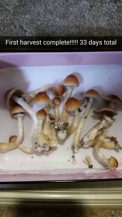 m0nster9:Im so ready to eat my babies!Yum!