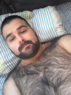 nixtwo:  Follow me on FaceBEAR! 