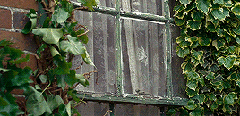 tumblr_p901ruvOqy1r23joco6_r1_400.gif