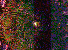 avatarparallels:Sozin's Comet: The Final Battle - July 19, 2008Day of The Colossus & The Last St