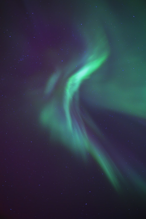 fornicating:  Straight Up by Johnny Myreng Henriksen