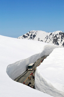 bluepueblo:  Snow Canyon, Toyama, Japan photo via g&amp;l 