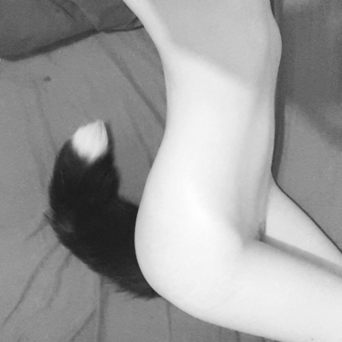 cacophiliac:  Mew~! 