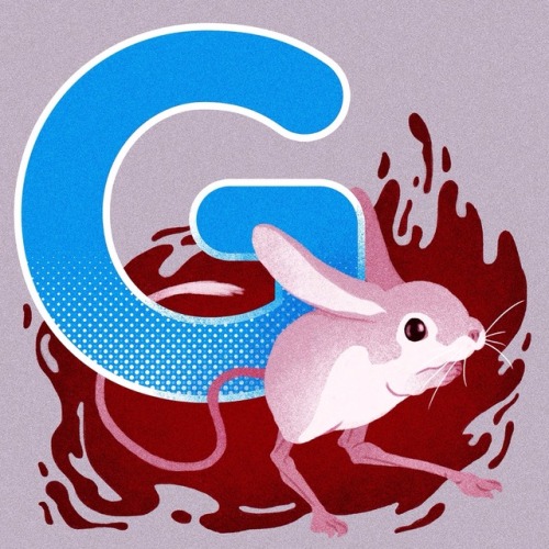 G is for… Gobi Jerboa!