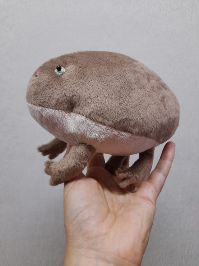 Budgetts Frog Plush // NaBakir #NaBakir#plush#plushie#plush toy#toy#frog