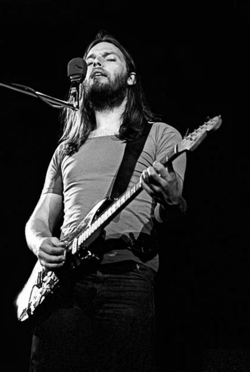 more-relics:David Gilmour  Pink Floyd at the Sports Arena in April 1975 in Los Angeles, California  