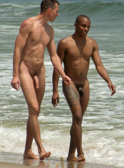 nude-nackt:  Main blogs: nudists-and-exhibitionists | exhibitionisten-exhibitionists | male-nudists-and-naturistsOther blogs: male-nudists | men-nude | men-posted | nude-gays-and-guys | guys-postedNewest blogs: guys-nude | men-photos | nackte-kerle |