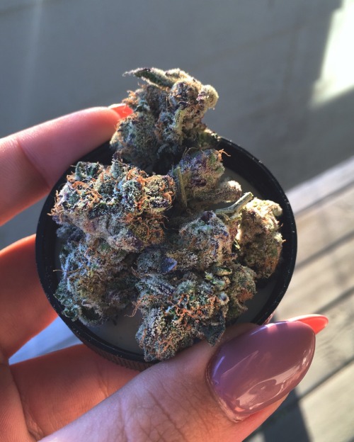 shatterkitty: Oregon diesel